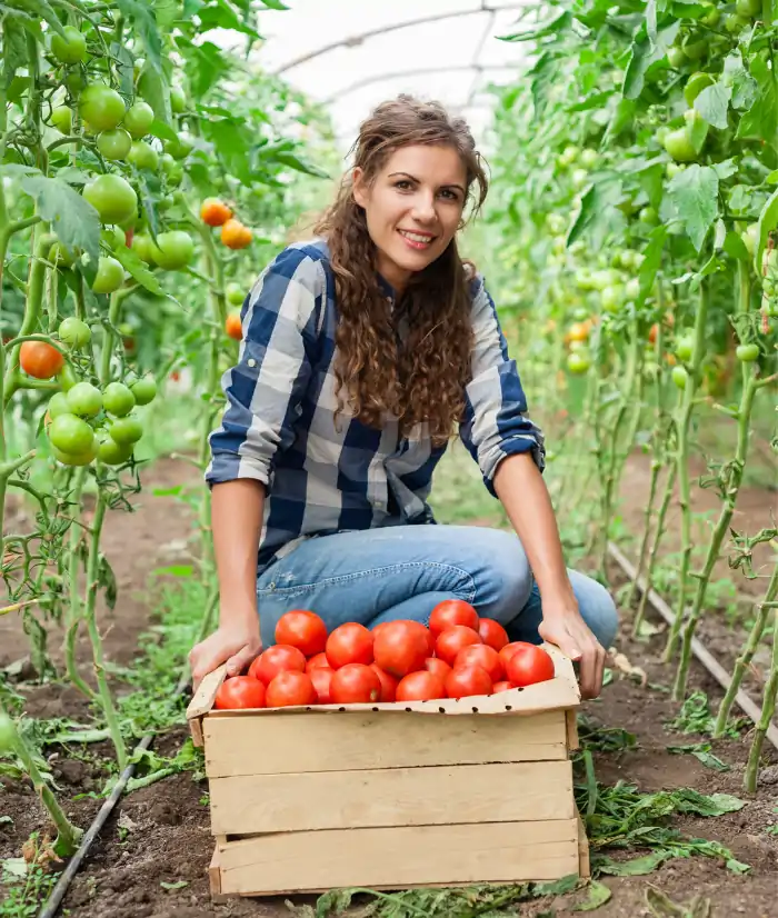 agricultural companies